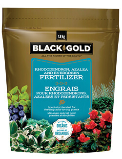 Engrais pour rhododendrons, azalées et persistants (5‑5‑3) Black Gold®