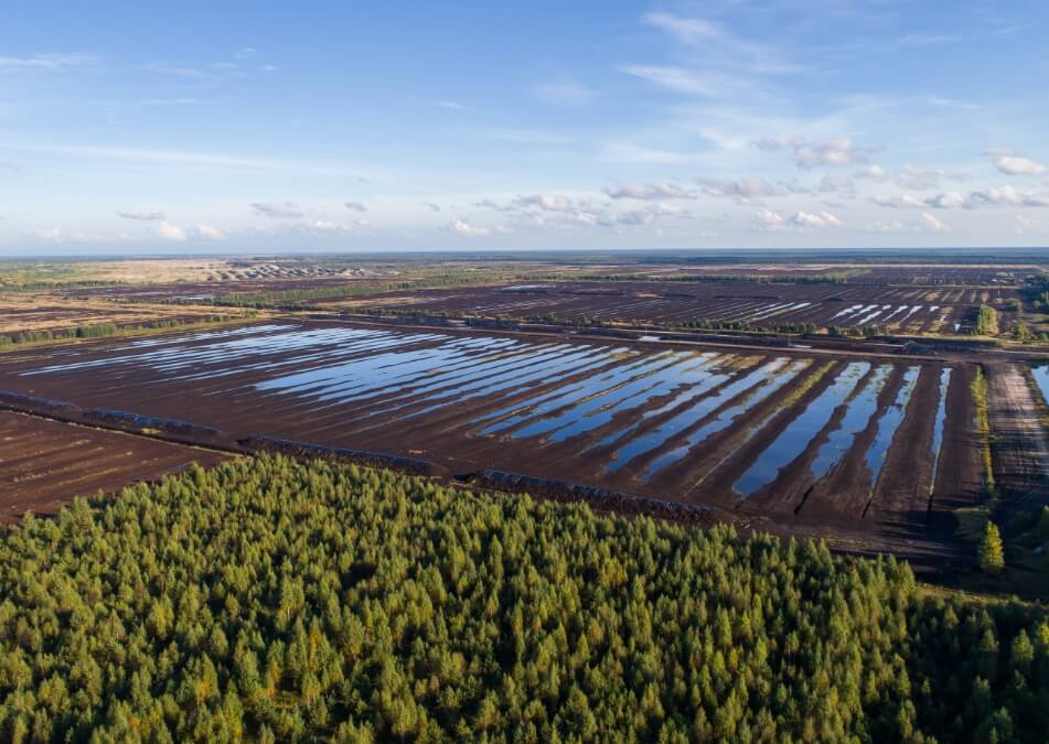 An aerial view of watered farmland beside a green forest