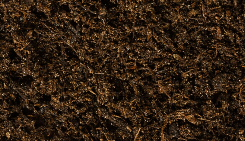 Black soil