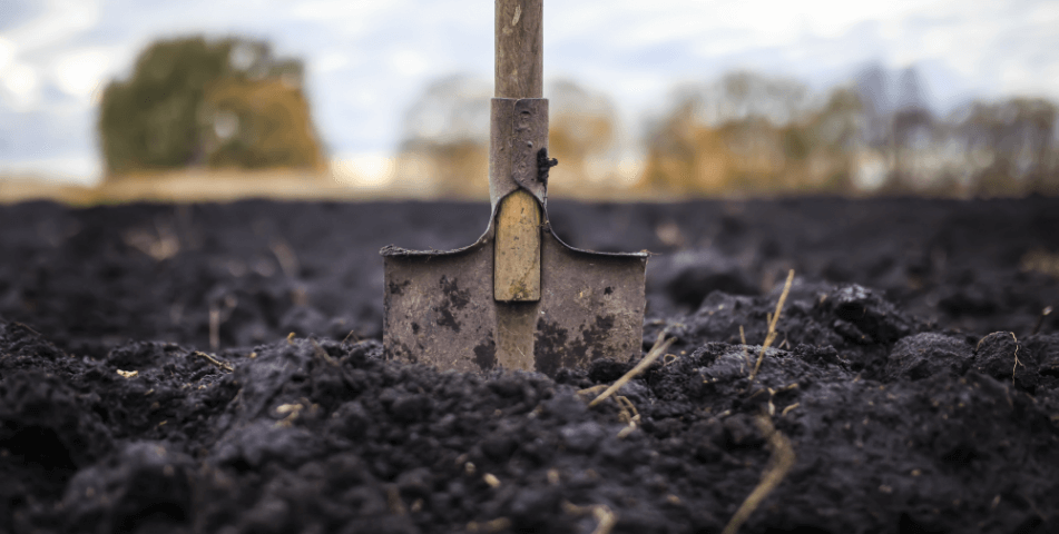 Shovel in soil