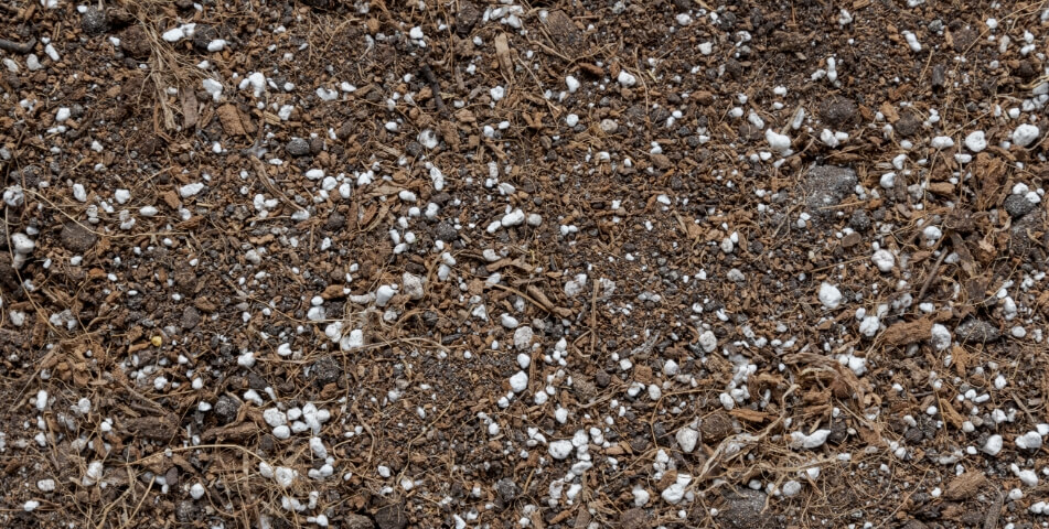 Soil with bark and perlite