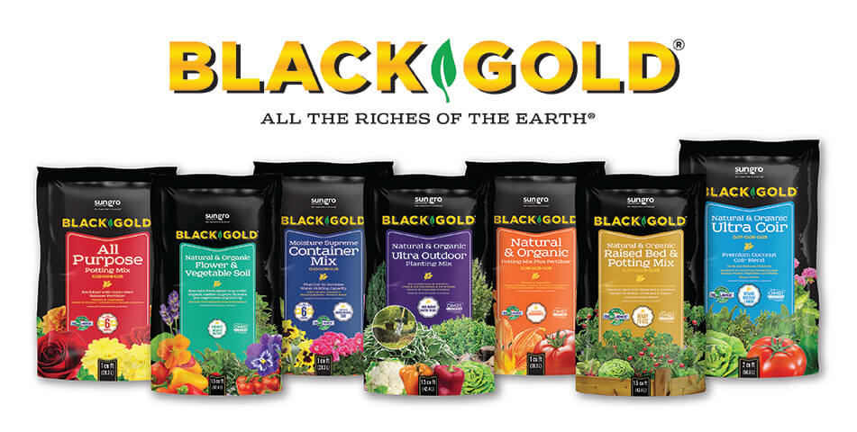 Image of various Black Gold soil mixes
