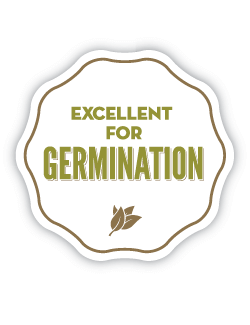 Canada - Excellent for Germination