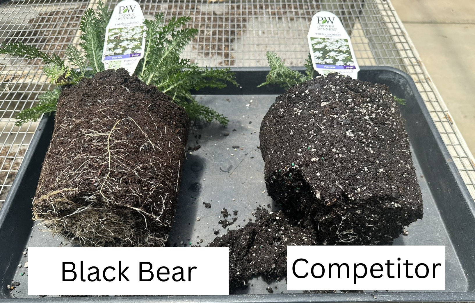 Black Bear Biochar vs. competitor biochar mix
