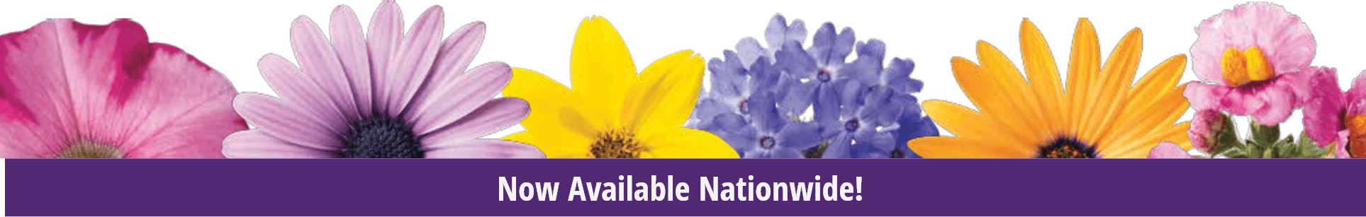 An assortment of flowers with a banner that says "now available nationwide!"