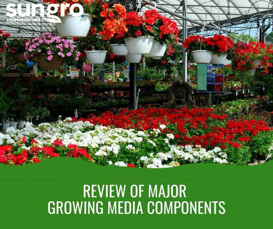 Review of Major Growing Media Components