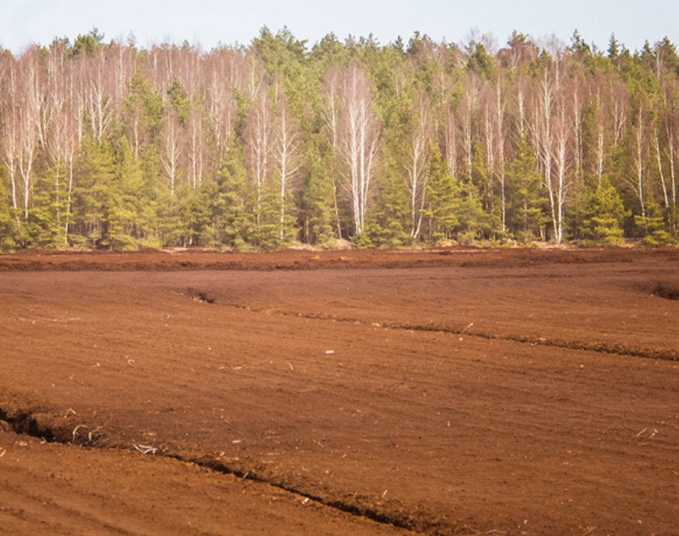 A freshly plowed field with a forest in the background