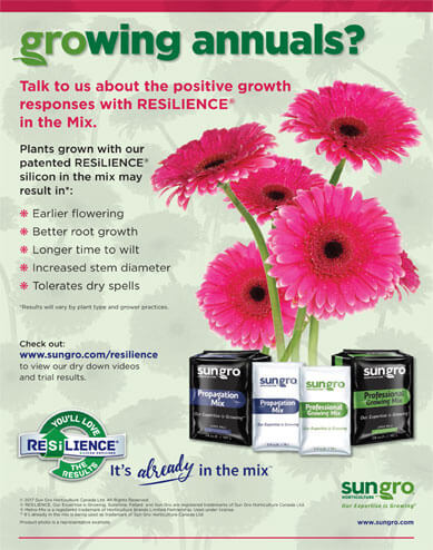 Image of flowers with text that says Resilience yields positive growth