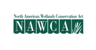North American Wetlands Conservation Act Logo