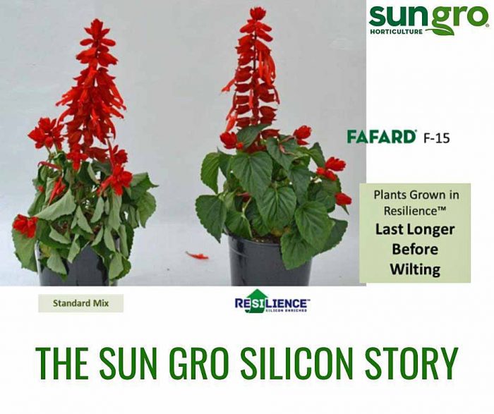 Sun Gro Silicon Story
