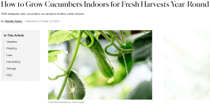 image of article about how to grow cucumbers indoors