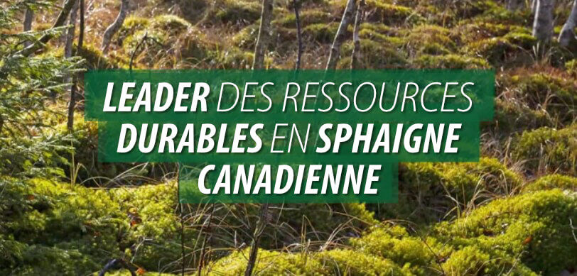 leader-in-sustainable-canadian-sphagnum-resources_fr