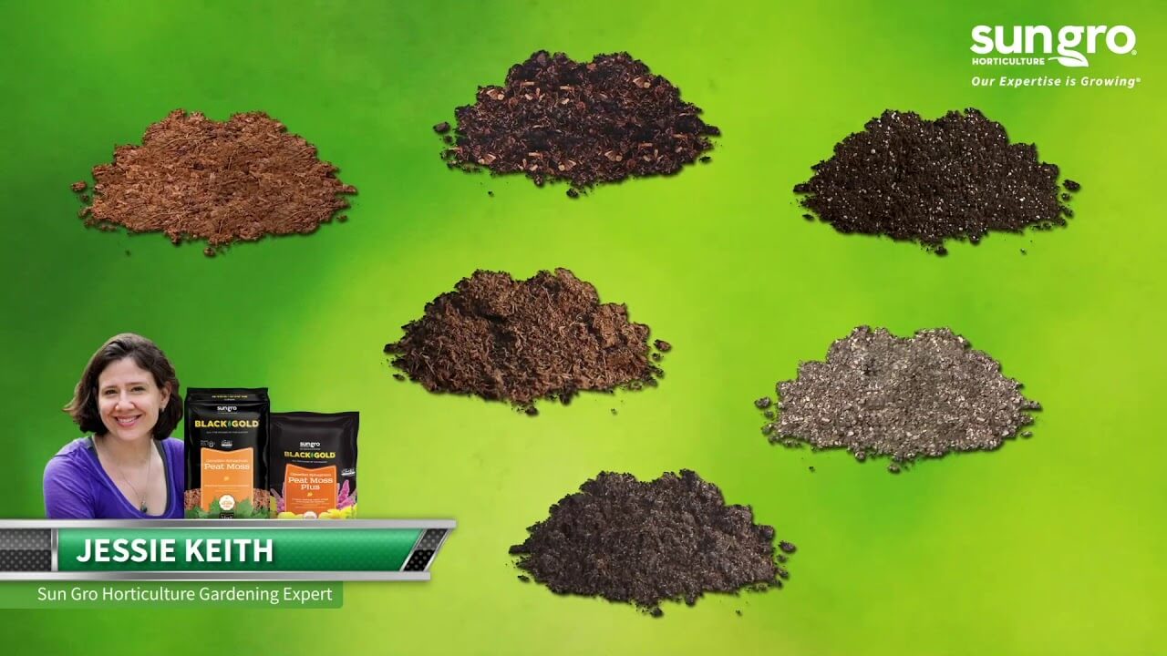 Black Gold® Natural & Organic Canadian Sphagnum Peat Moss – Sun Gro